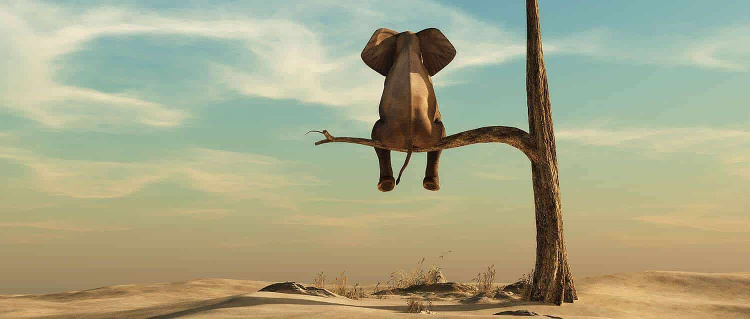 5 Tips and Tricks: Scaling ML with Pachyderm