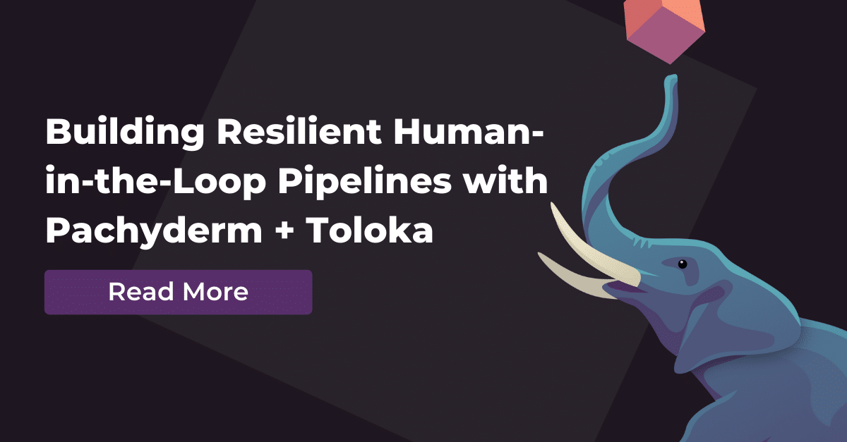 Building Resilient Human-in-the-Loop Pipelines with Pachyderm and Toloka