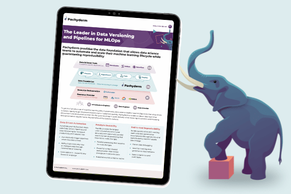 Pachyderm Solution Brief