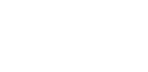 Seer AI